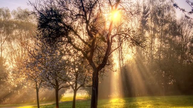 Христианское стихотворение - Благодари Его ! смотреть онлайн