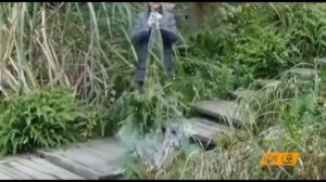 Китайцы уже придумали плащ невидимку.