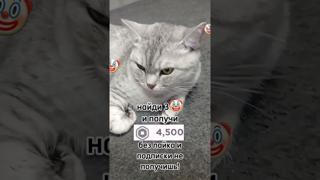 3 клоун - хейтер смотреть онлайн