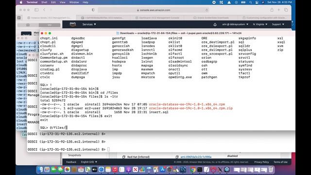 Golden Gate | Oracle Client & GG 19c Install | Replicate Oracle DB to AWS RDS Oracle by GG -Part смотреть онлайн