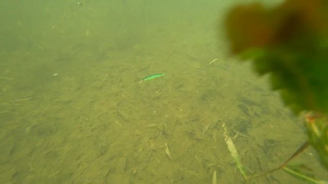 Игра ZipBaits Orbit 110SP. Подводные съемки. Underwater смотреть онлайн