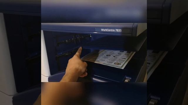 Печать цветных листовок формата А3 на Xerox WorkCentre 7835 смотреть онлайн