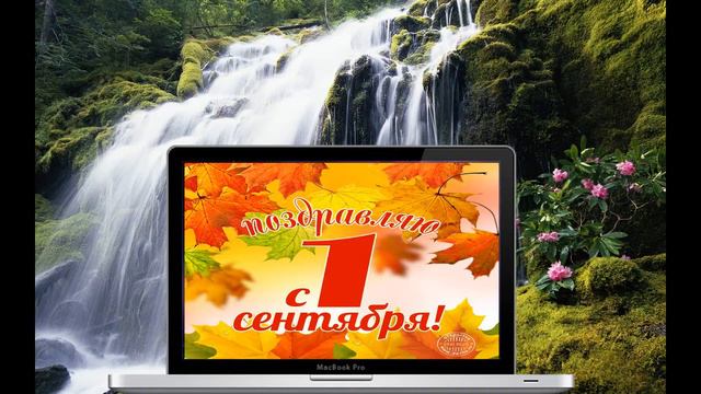 ШКОЛА!!!!!!!! смотреть онлайн