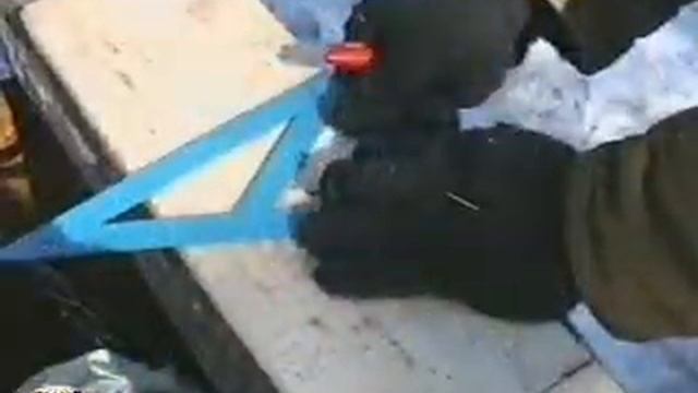 Курс полевого экологического образования смотреть онлайн
