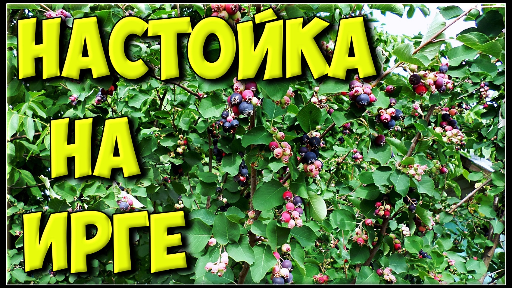 Активный отдых от Влада