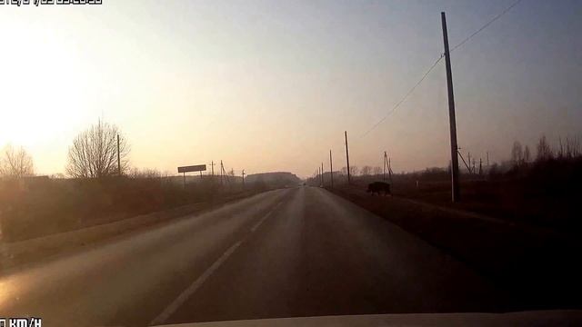 Кабанятина смотреть онлайн