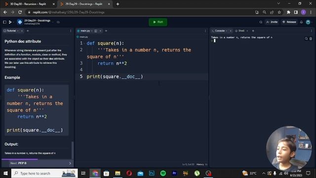 Docstrings in Python | Python Tutorial - Day #29 смотреть онлайн