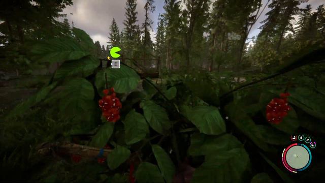Sons of the forest - Der Kompositbogen | gameplay deutsch #019 смотреть онлайн