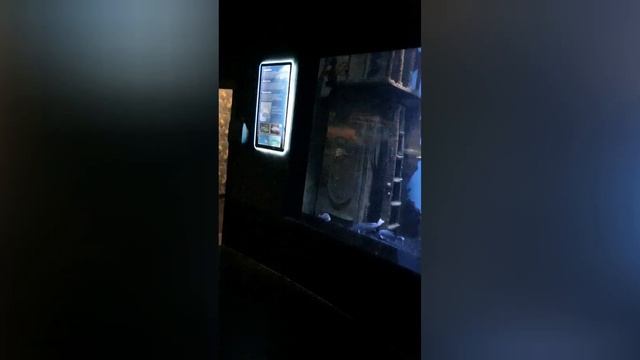 Анталия Аквариум/Antalya Aquarium смотреть онлайн