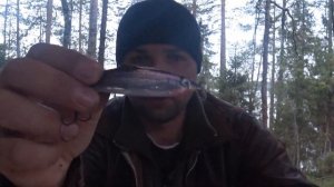 ТОП приманки для троллинга в КАРЕЛИИ на ПЯОЗЕРЕ!!! Осень 2022г.