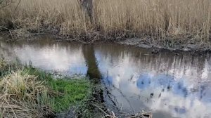 Страстная неделя перед Пасхой. Что можно есть, нельзя делать и как подготовиться.