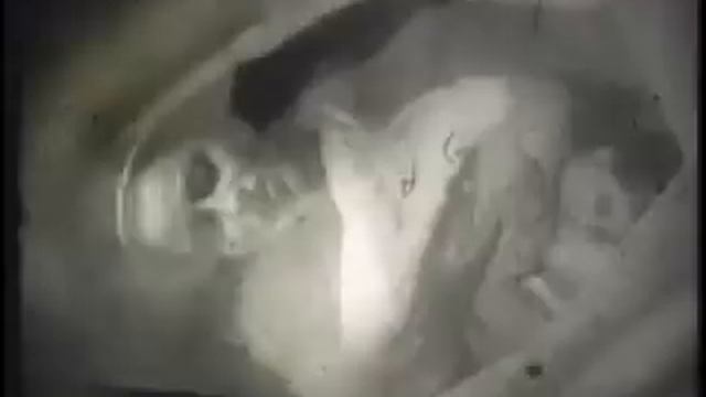 Guy Maddin - Zookeeper Workbook смотреть онлайн