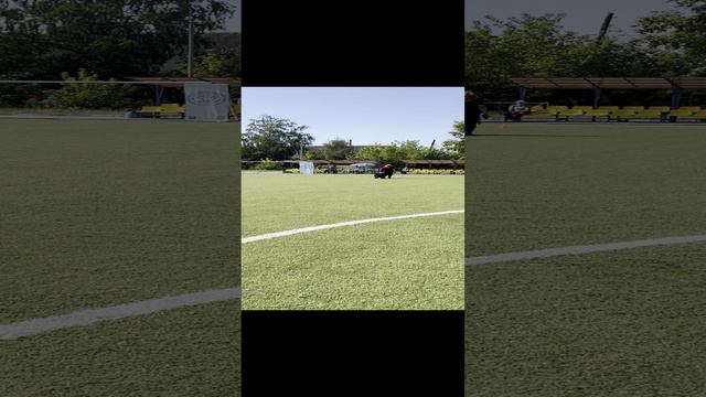 6.  выражено/перв ЗЕЛЛИ (Зильбер Вассерфаль Этьен – Талантэл Хакамада)