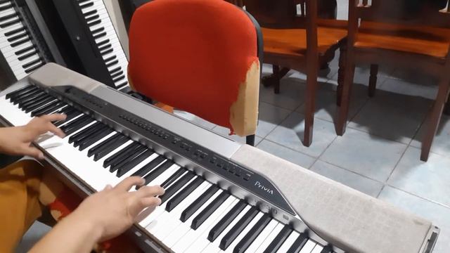 Casio Privia Px-310 Demo Piano Acustico