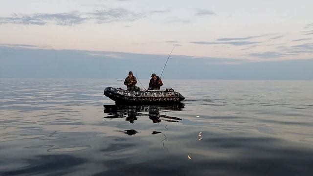 СУДАК НА ТРОЛЛИНГ ЛЕТОМ НА БЕЛОМ ОЗЕРЕ смотреть онлайн