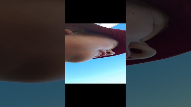 1000002707.mp4 смотреть онлайн