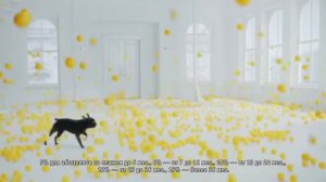 Реклама Билайн: ВСЕ Бонусы 2016