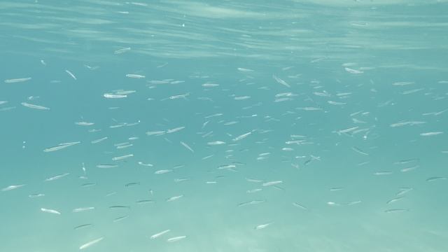 Cannes, Plage du Midi. Juli 2022. смотреть онлайн