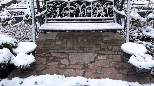 УЧАСТОК ЗАНЕСЛО СНЕГОМ ❄️СПАСАЕМ ЦВЕТЫ❄️ЧТО В ОГОРОДЕ?❄️ГИППЕАСТРУМЫ: НЕМНОГО ОБ УХОДЕ? смотреть онлайн