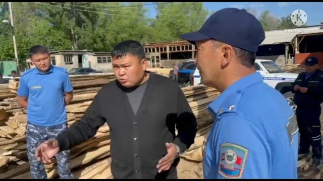 Экологическая милиция выявила, что на пилораме распилили незаконно срубленные ели! смотреть онлайн