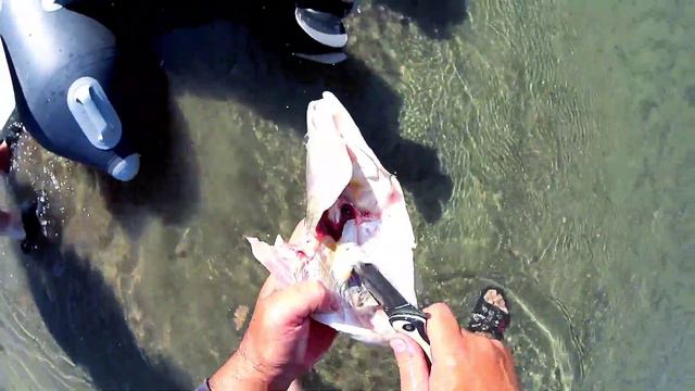 РЫБАЛКА#ГНУС#ПАУТЫ А нам по кайфу..Судак на ужин👍🏼 смотреть онлайн