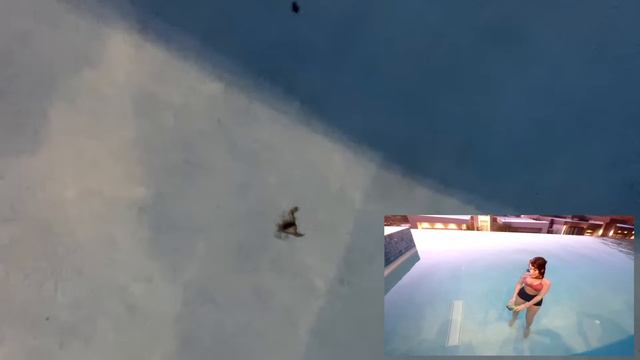 iPhone 11 Pro Max UNDERWATER REVIEW + UNBOXING