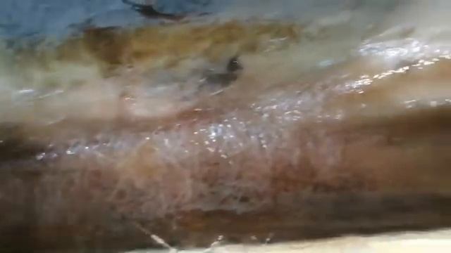 Полный процесс ремонта деталей из стекловолокна. смотреть онлайн