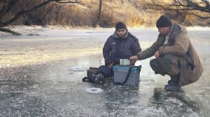 Подводная камера FocusFish честный обзор