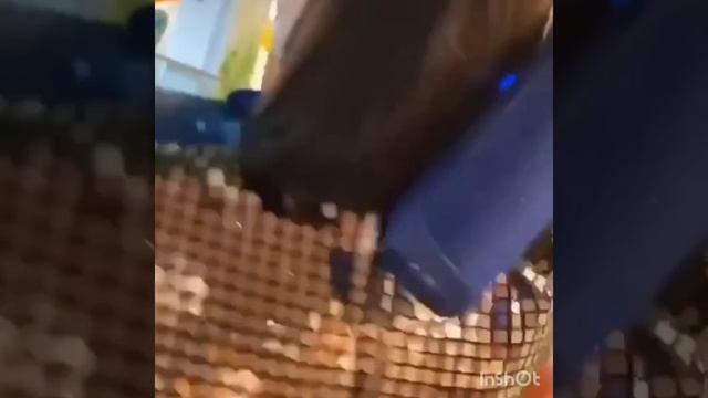 Горячие танцы Бородиной с подругами на Дне рождения Теоны смотреть онлайн