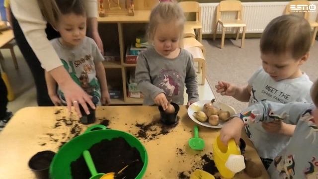 Деятельность детского сада Вайвара