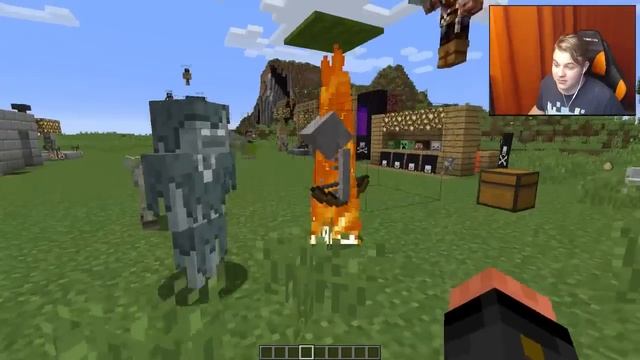10 ФАКТОВ О СКЕЛЕТАХ В МАЙНКРАФТЕ | Minecraft ФАКТЫ смотреть онлайн
