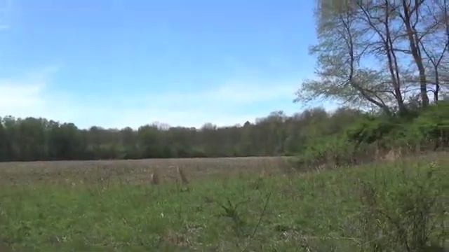 Robert H. Jackson Homestead Project (2019) Cabin Search смотреть онлайн