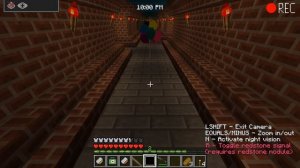 ?СЛЕДИМ ЗА ВАНЕССОЙ ЧЕРЕЗ СКРЫТЫЕ КАМЕРЫ В МАЙНКРАФТ! ШЕДИ ЛЕСКА И НУБИК ТРОЛЛИНГ MINECRAFT