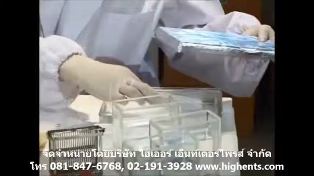 ชุดตรวจโรค Melioidosis-IFA смотреть онлайн