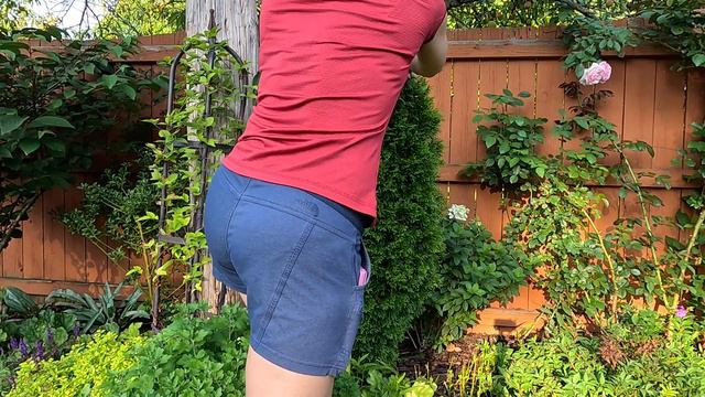 How to Create Arborvitae Topiaries 🌲😃 🌳// Suburban Oasis смотреть онлайн