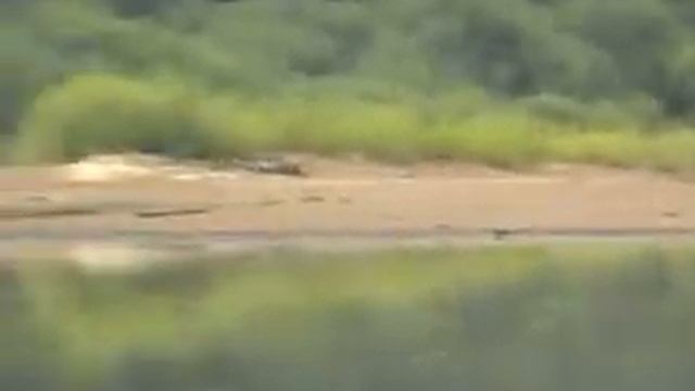 Сплав 2008 смотреть онлайн