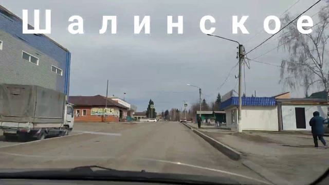 Породистые курицы несушки покупка и заселение в курятник порода доминант смотреть онлайн