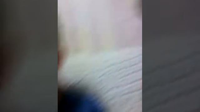 Мой друг Алекс играет в клеш рояль смотреть онлайн