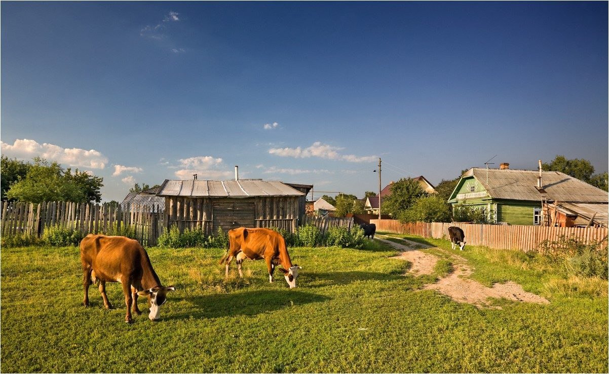 Звуки русской деревни. Пение петухов и птиц, лай собак и колка дров, голоса лошадей и свеней. смотреть онлайн