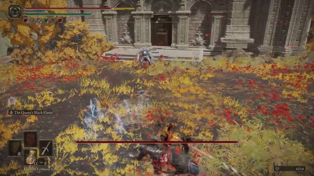 Elden Ring - Black Knife Assassin's dismount crit смотреть онлайн