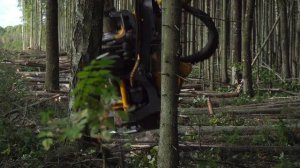 РУСХИМАЛЬЯНС || БАЛТИЙСКИЙ СПГ