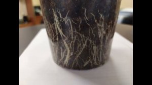 Здравень Аква для рассады цветочных, овощных и зеленных культур