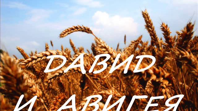 ДАВИД И АВИГЕЯ