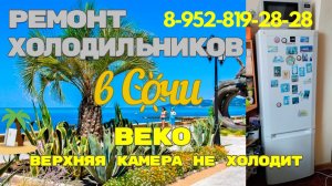 Холодильник Веко не морозит верхняя камера