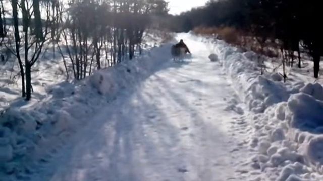 Хаски Грэйсон проба двойки!!!!!!! смотреть онлайн