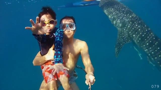 Эти безумные, безумные люди 2 _ Смотреть во весь экран смотреть онлайн