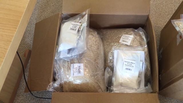 Распаковываем посылку из МирБир. Новинки солодовых наборов и оборудование . смотреть онлайн