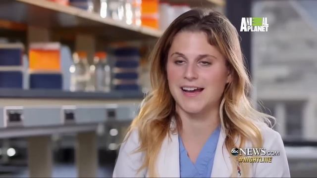 'Life at Vet U' Shows Vet Students Tackling Animal ER Challenges смотреть онлайн