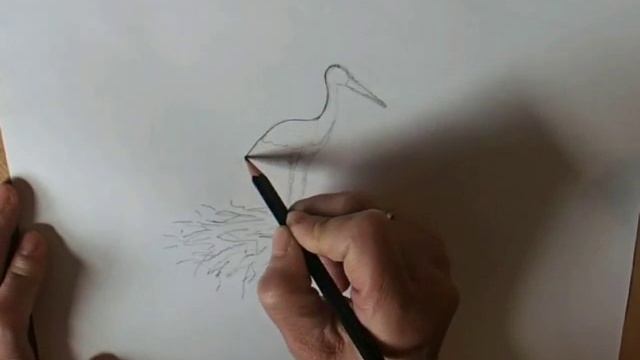 Учимся рисовать Аист смотреть онлайн