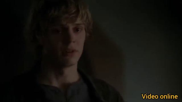 Тейт и Вайлет